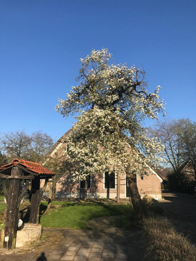 Appartement "In De Wolken" In Gees Exterior foto